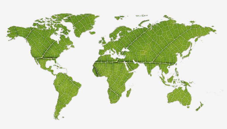 1551431884364765.png 1551431884364765.png