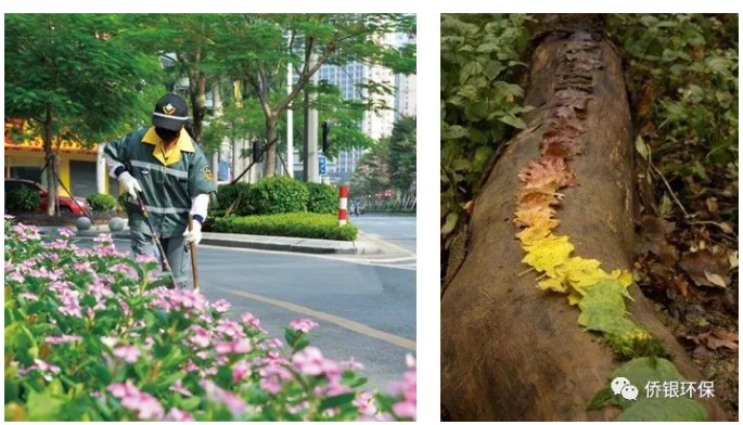 1555552806144563.png 1555552806144563.png